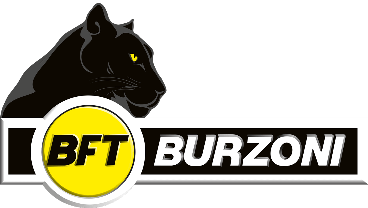 Logo BFT Burzoni